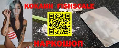 a pvp Камышлов