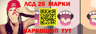 a pvp Камышлов