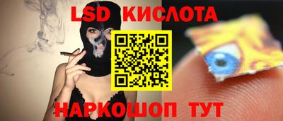 стаф Канаш