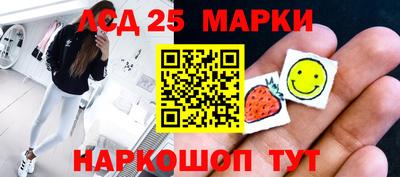 a pvp Камышлов