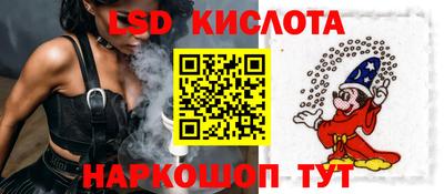 a pvp Камышлов