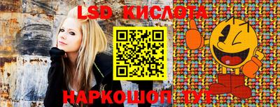 ГАЛЛЮЦИНОГЕННЫЕ ГРИБЫ Кандалакша