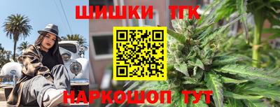 a pvp Камышлов