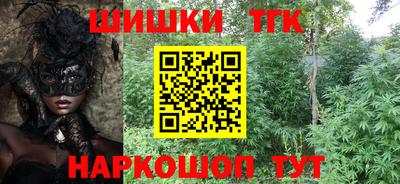 a pvp Камышлов