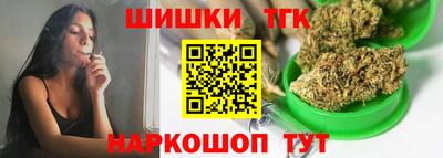 a pvp Камышлов