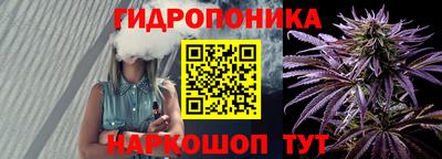a pvp Камышлов