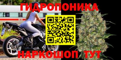 ГАЛЛЮЦИНОГЕННЫЕ ГРИБЫ Кандалакша